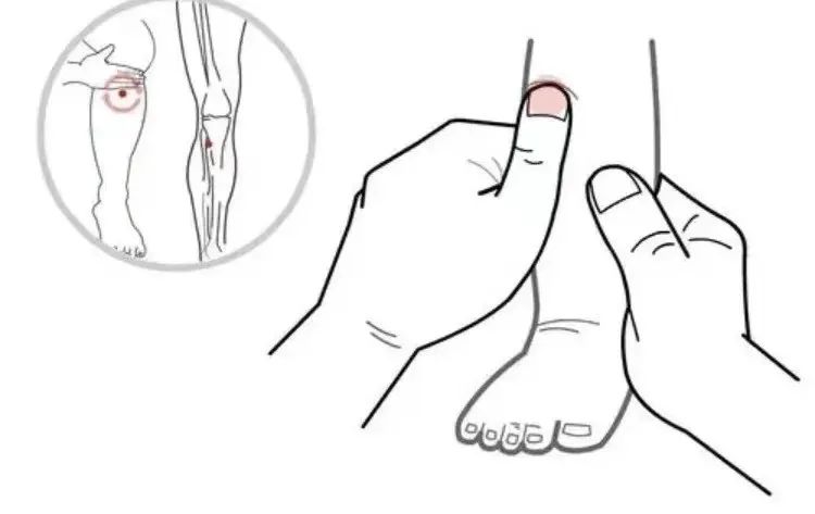 4de202ee1f6047b4b7d91882fd3e54cd.jpg 4de202ee1f6047b4b7d91882fd3e54cd.jpg