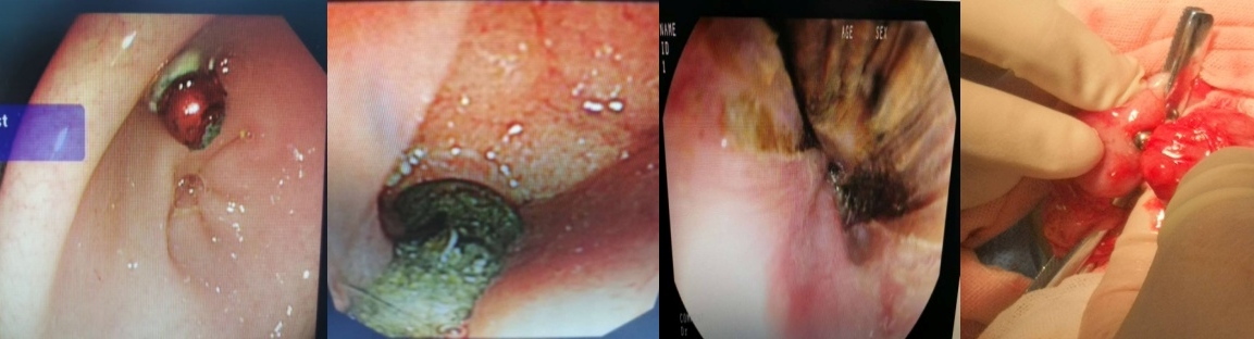 02_副本_副本.jpg 02_副本_副本.jpg